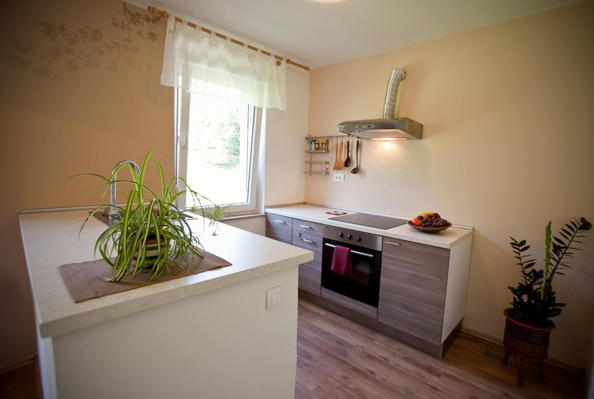 Apartments Soca Kobarid Buitenkant foto
